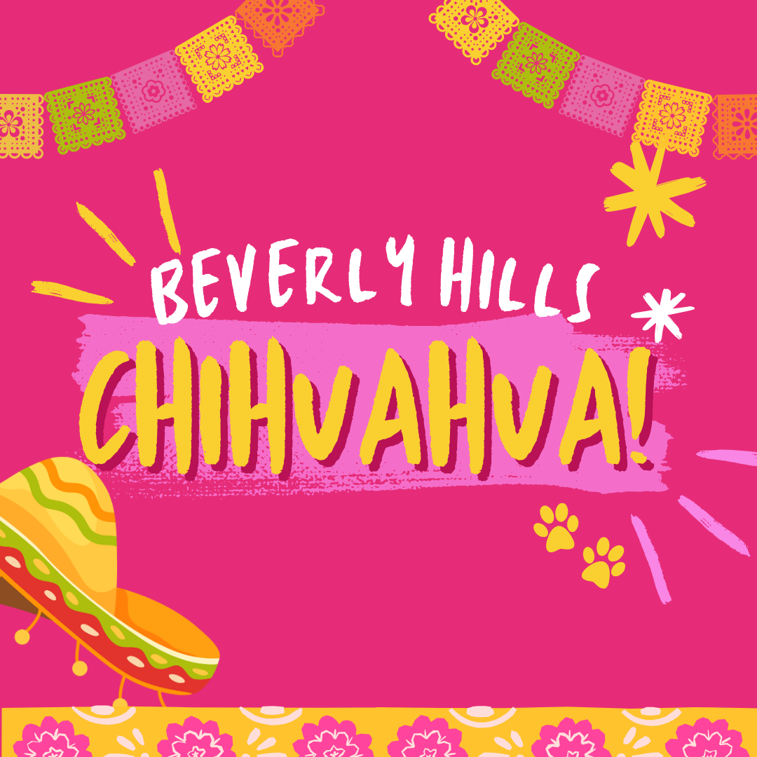 Beverly Hills Chihuahua